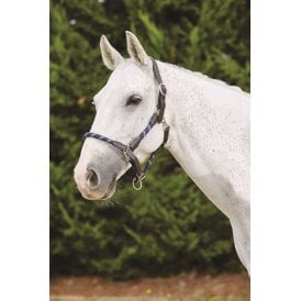 Kincade Leather Rope Headcollar - Navy/Brown
