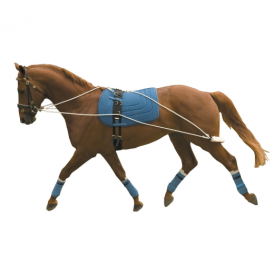 Kincade Lunging Training Aid