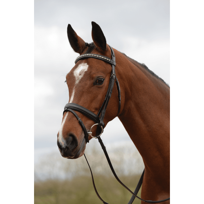 Kincade  Padded Crystal Crank Flash Bridle - Black
