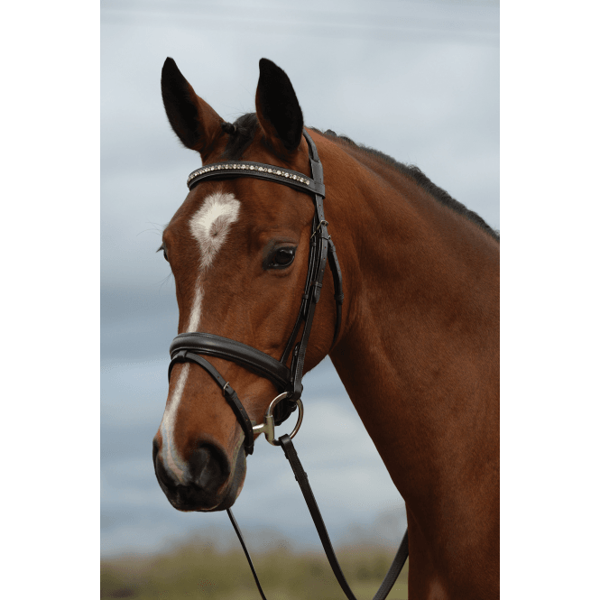 Kincade  Padded Crystal Crank Flash Bridle - Brown