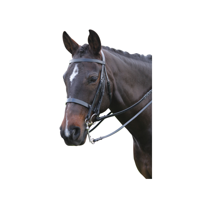 Kincade  Show Weymouth Bridle
