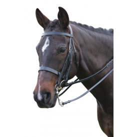 Kincade Show Weymouth Bridle