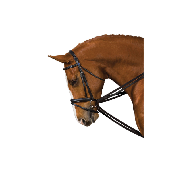 Kincade  Web Draw Reins Set - Black