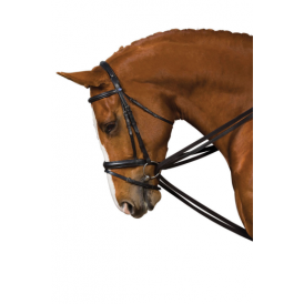 Kincade Web Draw Reins Set - Black