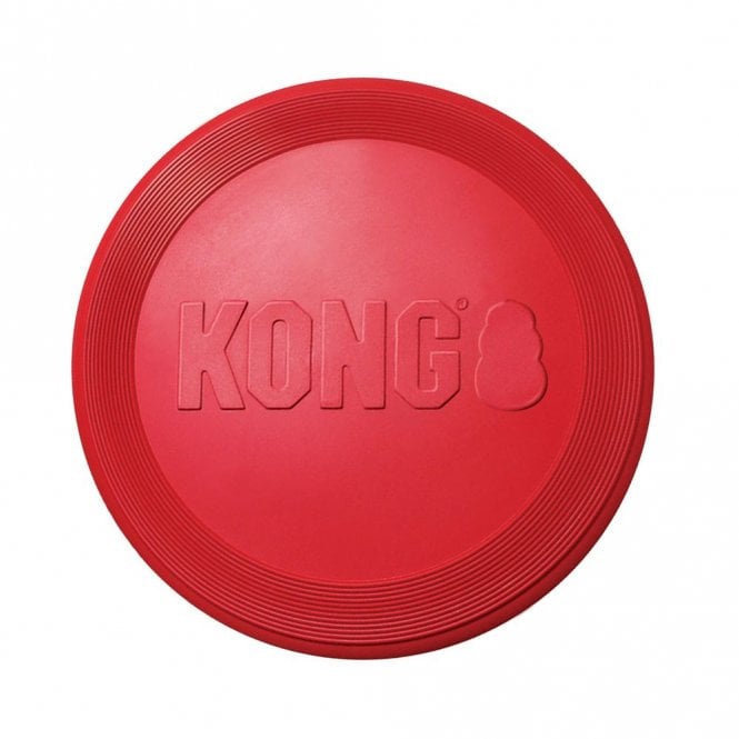 KONG  Flyer