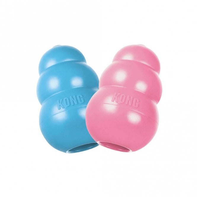 KONG  Puppy