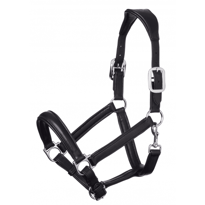 LeMieux  Anatomic Leather Headcollar - Black