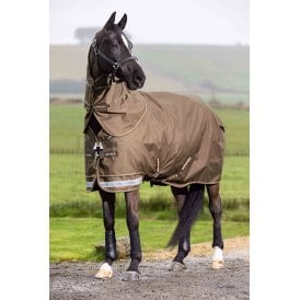 LeMieux Arika Ripstop 100g Turnout Rug - Alpine