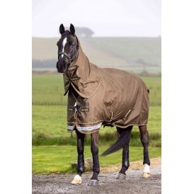 LeMieux Arika Ripstop 200g Turnout Rug - Alpine
