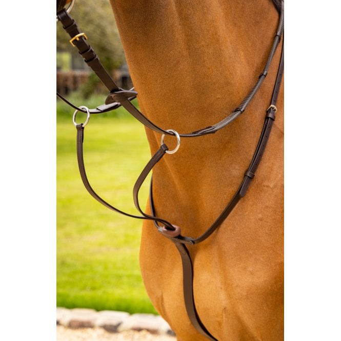 LeMieux  Arika Running Martingale - Brown/Silver