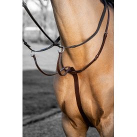 LeMieux Arika Running Martingale - Havana/Silver