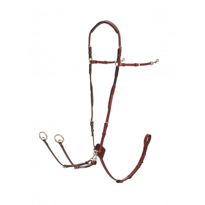 LeMieux  Breastplate (D-Ring Attachment) - Chestnut/Silver