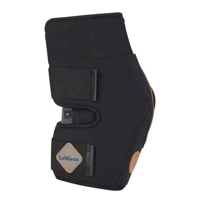 LeMieux  Conductive Magnotherapy Hock Boot