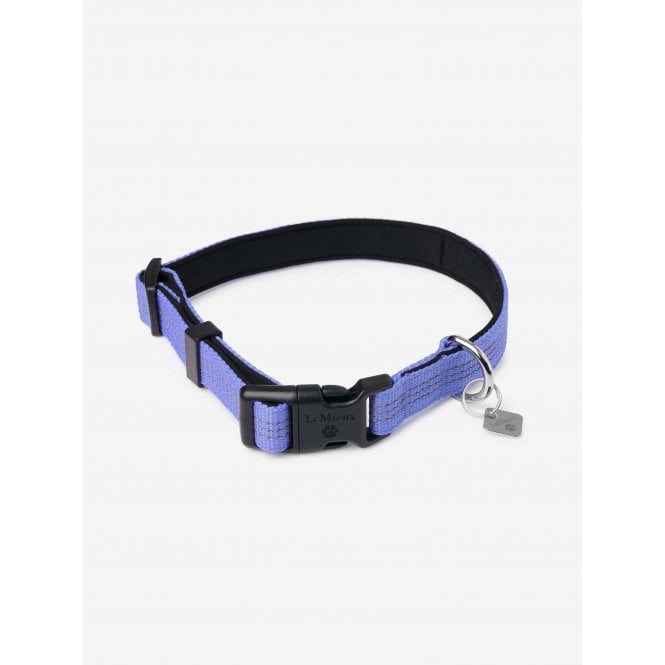 LeMieux  Henley Webbing Dog Collar - Bluebell