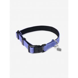 LeMieux Henley Webbing Dog Collar - Bluebell