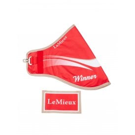 LeMieux Hobby Horse Toy Winners Rug - Red