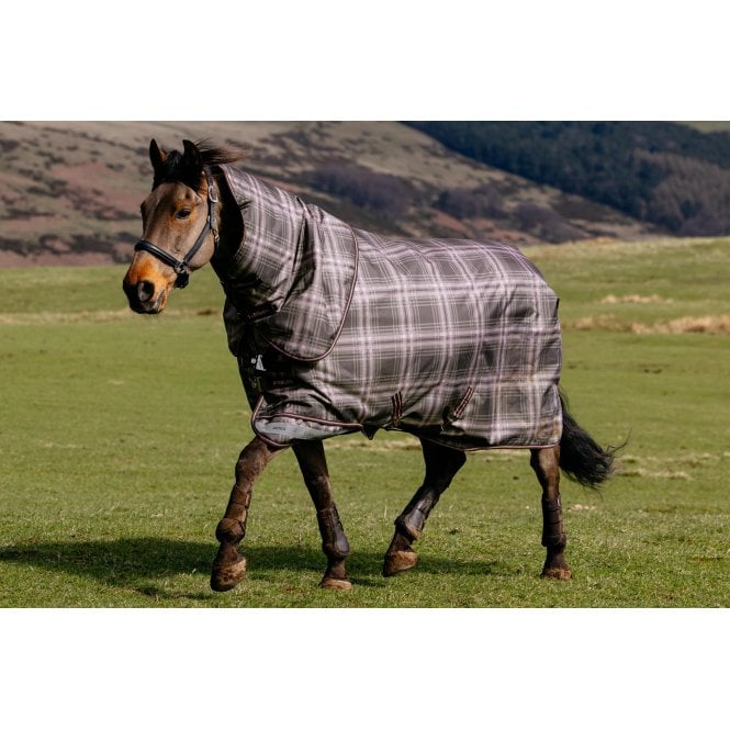 LeMieux Horsehealth LeMieux Arika Check 200g Turnout Rug - Cocoa