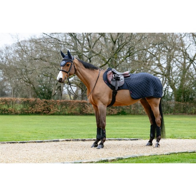 LeMieux Horsehealth LeMieux Arika Clima-Tek Quarter Sheet - Navy Blue