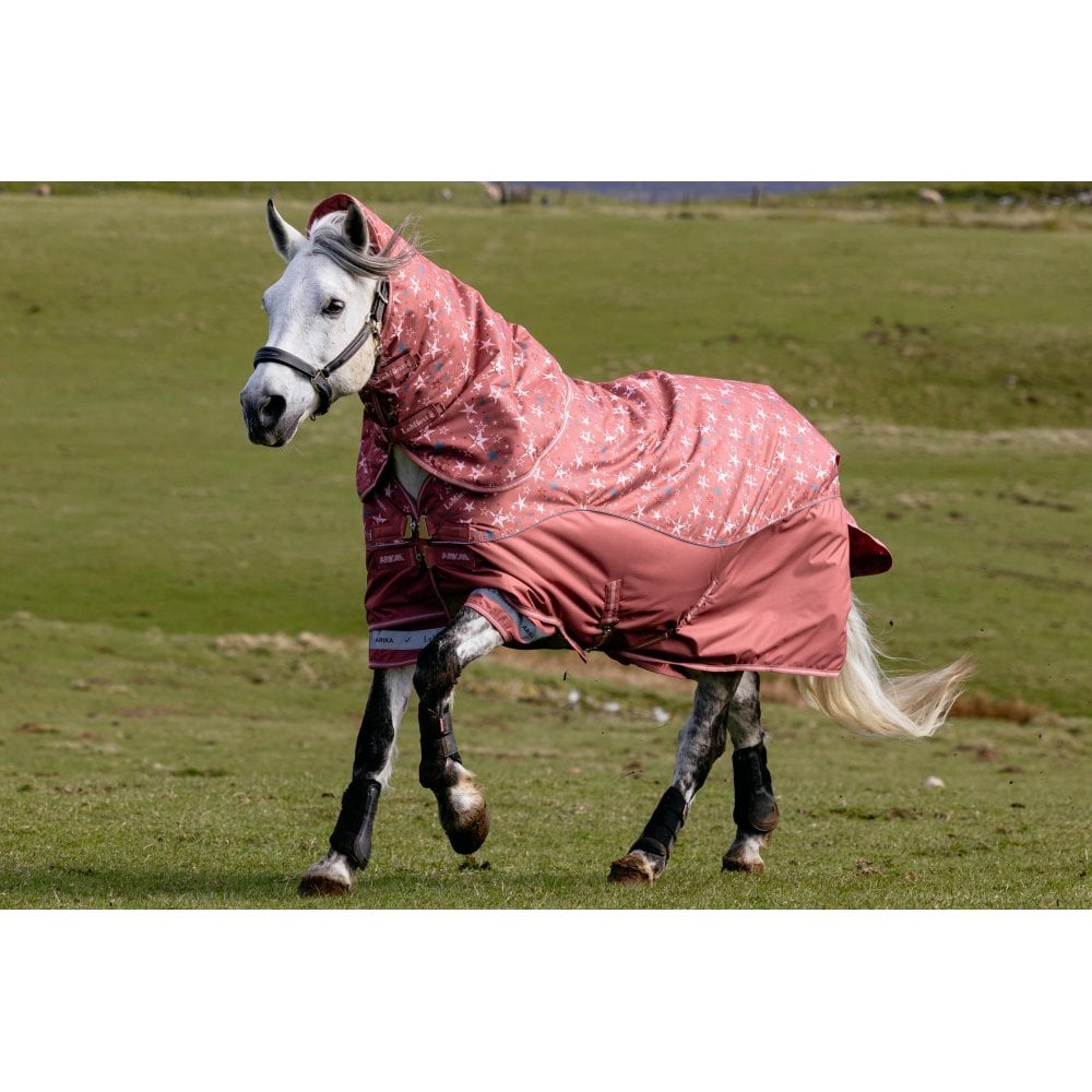 Lemieux Spiced Earth Arika Star 100G Turnout Rug - Image 4