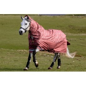 LeMieux Arika Star 100g Turnout Rug - Spiced Earth