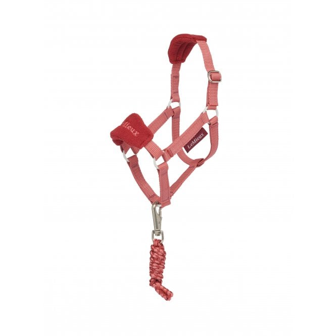LeMieux Horsehealth LeMieux Hobby Horse Vogue Headcollar & Leadrope - Spiced Earth