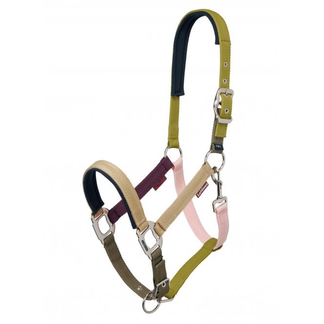 LeMieux Horsehealth LeMieux Medley Headcollar - Gooseberry/Pear/Petal