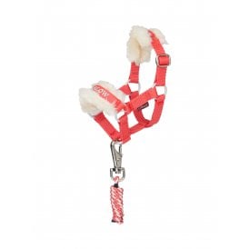 LeMieux Mini LeMieux Toy Pony Harlow Headcollar & Leadrope - Coral Crush