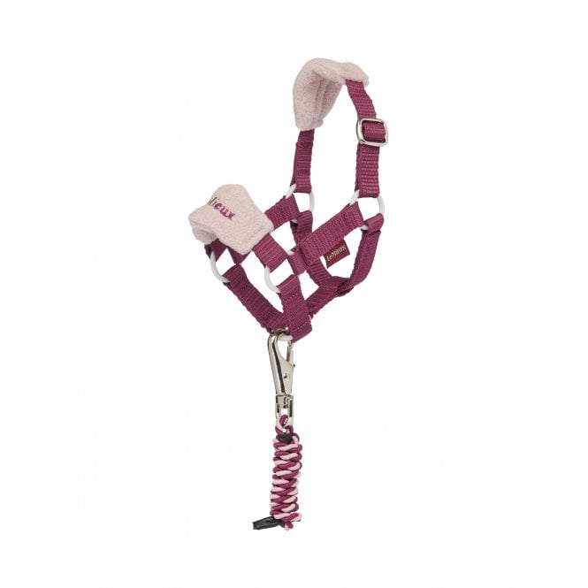 LeMieux Horsehealth LeMieux Toy Pony Vogue Headcollar & Leadrope - Blackberry