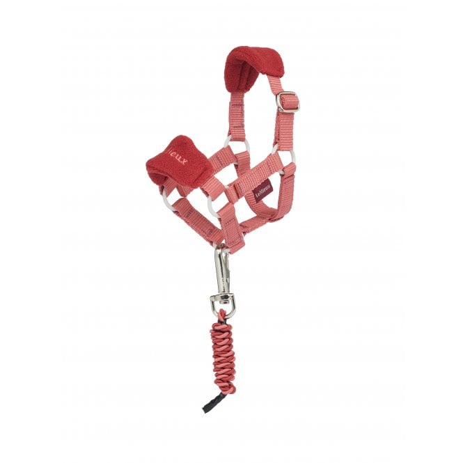 LeMieux Horsehealth LeMieux Toy Pony Vogue Headcollar & Leadrope - Spiced Earth