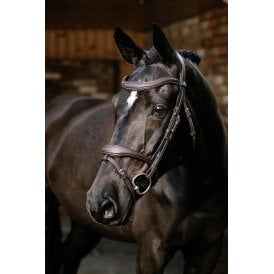 LeMieux Kudos Contour Flash Bridle - Black or Brown