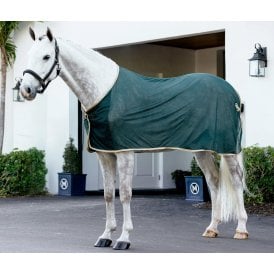 LeMieux Lightweight Mesh Scrim Horse Rug - Green