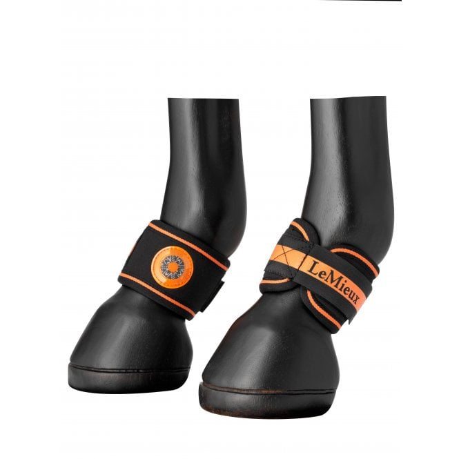 LeMieux  Magno Pastern Wrap - Black