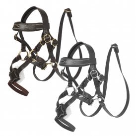 LeMieux Mini LeMieux Toy Pony Grackle Bridle