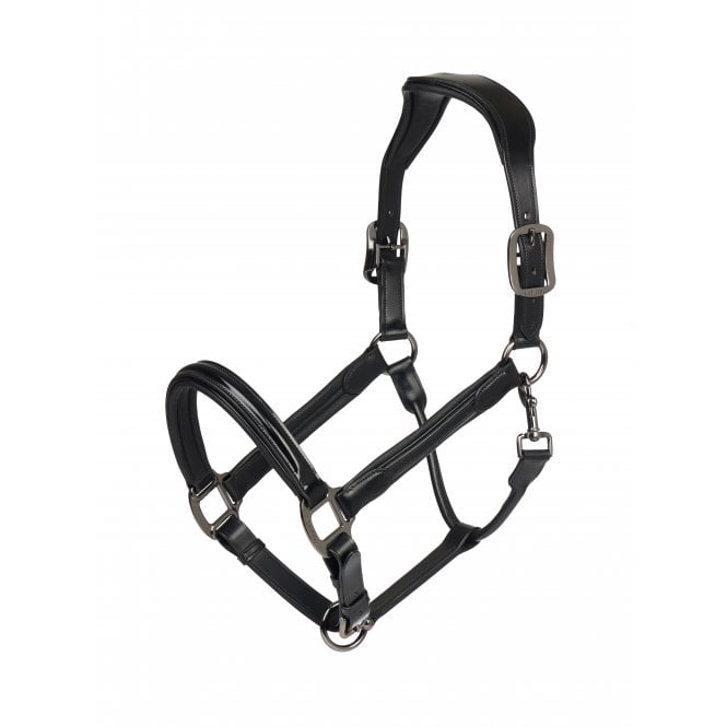 LeMieux  Patent Leather Headcollar - Black
