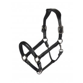 LeMieux Patent Leather Headcollar - Black