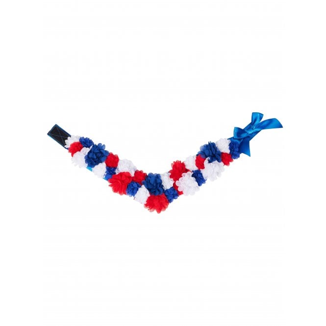 LeMieux  Toy Pony Flower Sash - Multi