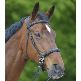 Mackey Star Bitless Bridle - Black