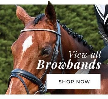 View all Browbands