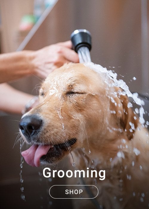 Dog - Grooming