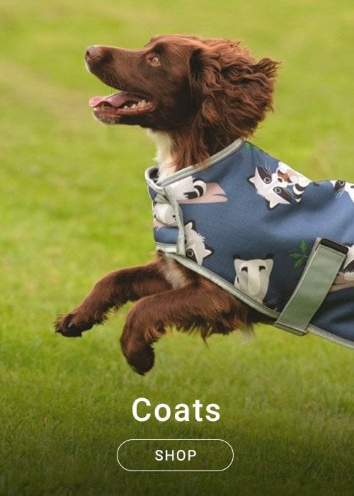 Dog - Coats