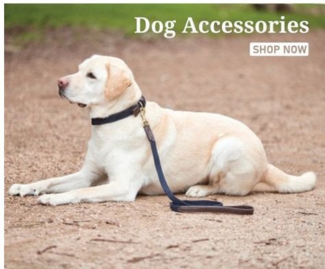 Dog Coats