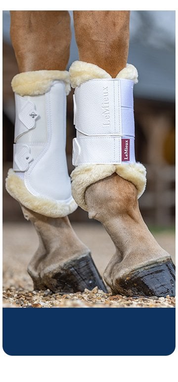 Horse Boots