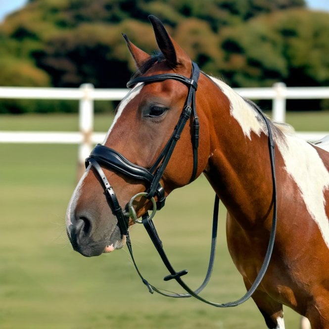 Pravoak  Dressage Bridle With Dressage Reins - Black