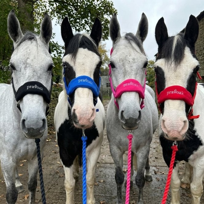 Pravoak  Fleece Padded Headcollar & Leadrope Set