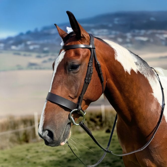 Pravoak  Hunter Bridle With Leather Reins - Brown