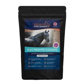 Premier Performance Electrolyte Cookies