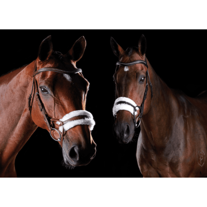 Win a Collegiate Comfitec Sheepskin Bridle