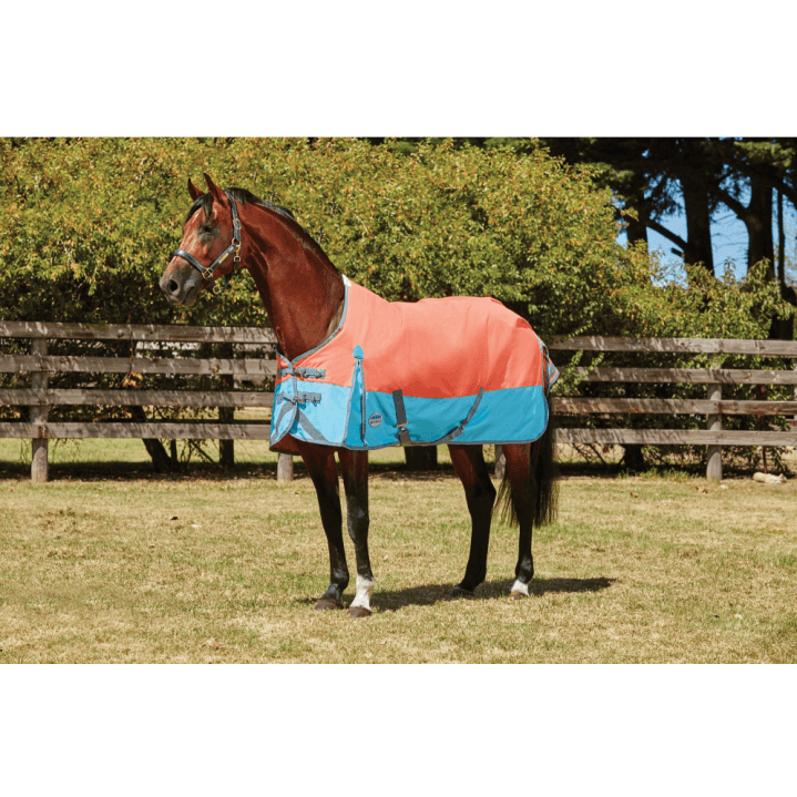 Win a Weatherbeeta Comfitec Plus Dynamic Standard Neck Lite - Orange/Blue/Silver!