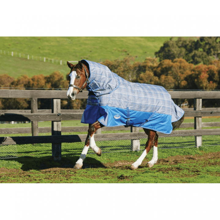 Win a Weatherbeeta Premier Free Heavy Rug