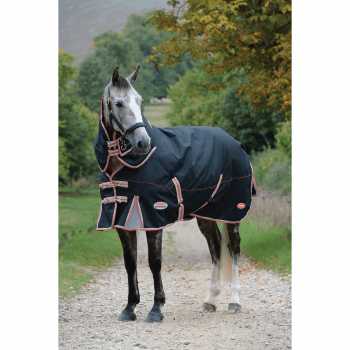 Win a Weatherbeeta Therapy Tec Turnout Rug!